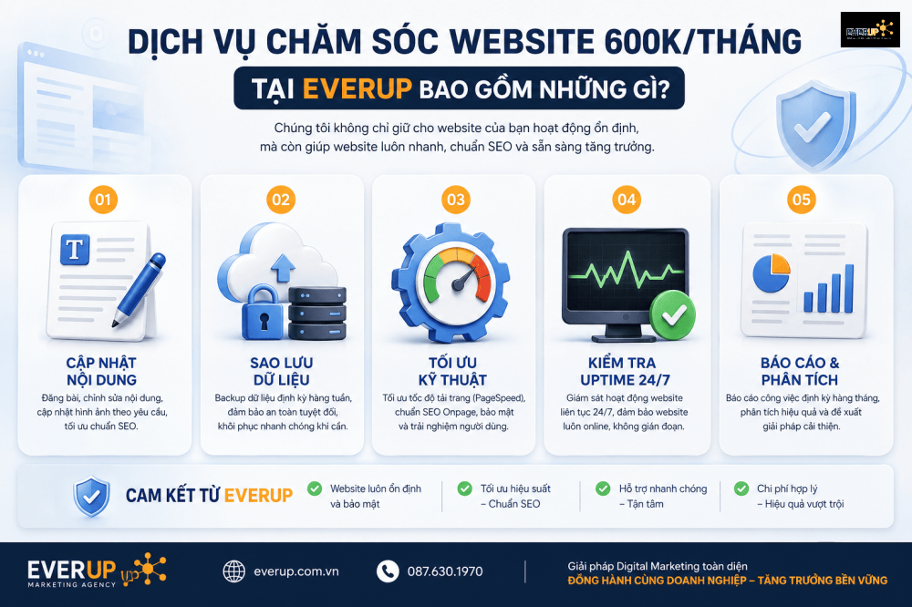 Dịch Vụ Chăm Sóc Website 600k/Tháng Tại Everup Bao Gồm Những Gì?